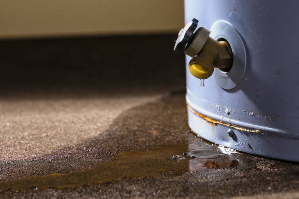 Best Water damage restoration near me  in Lloyd Harbor, NY