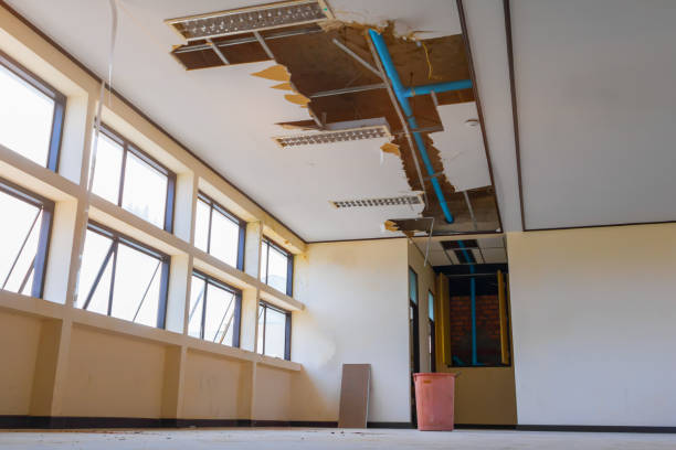 Best Water damage contractors near me  in Lloyd Harbor, NY