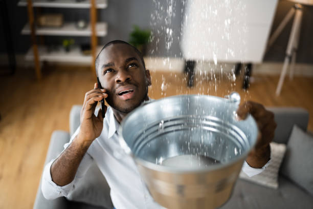 Best 24/7 water damage repair  in Lloyd Harbor, NY