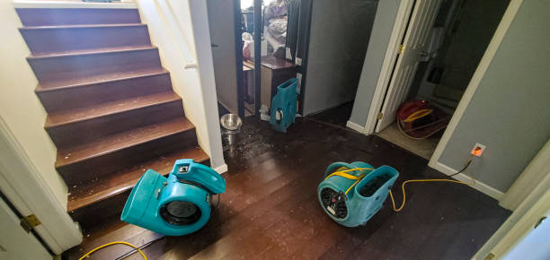 Professional Water damage restoration in Lloyd Harbor, NY