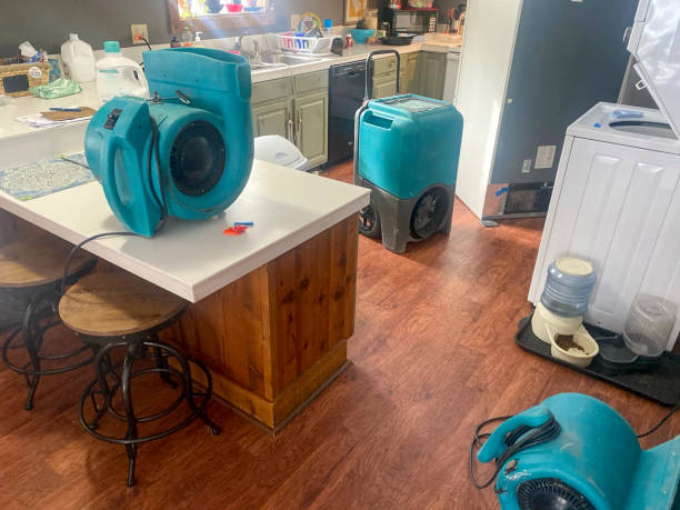 Best Water damage restoration cost  in Lloyd Harbor, NY