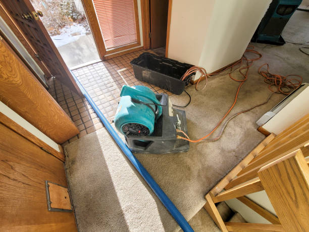 Best Residential water damage restoration  in Lloyd Harbor, NY