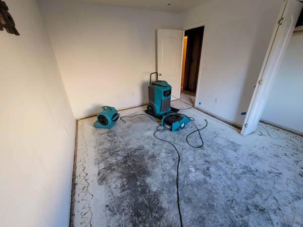 Best Flood damage cleanup  in Lloyd Harbor, NY