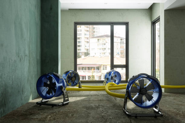 Best Carpet water damage restoration  in Lloyd Harbor, NY
